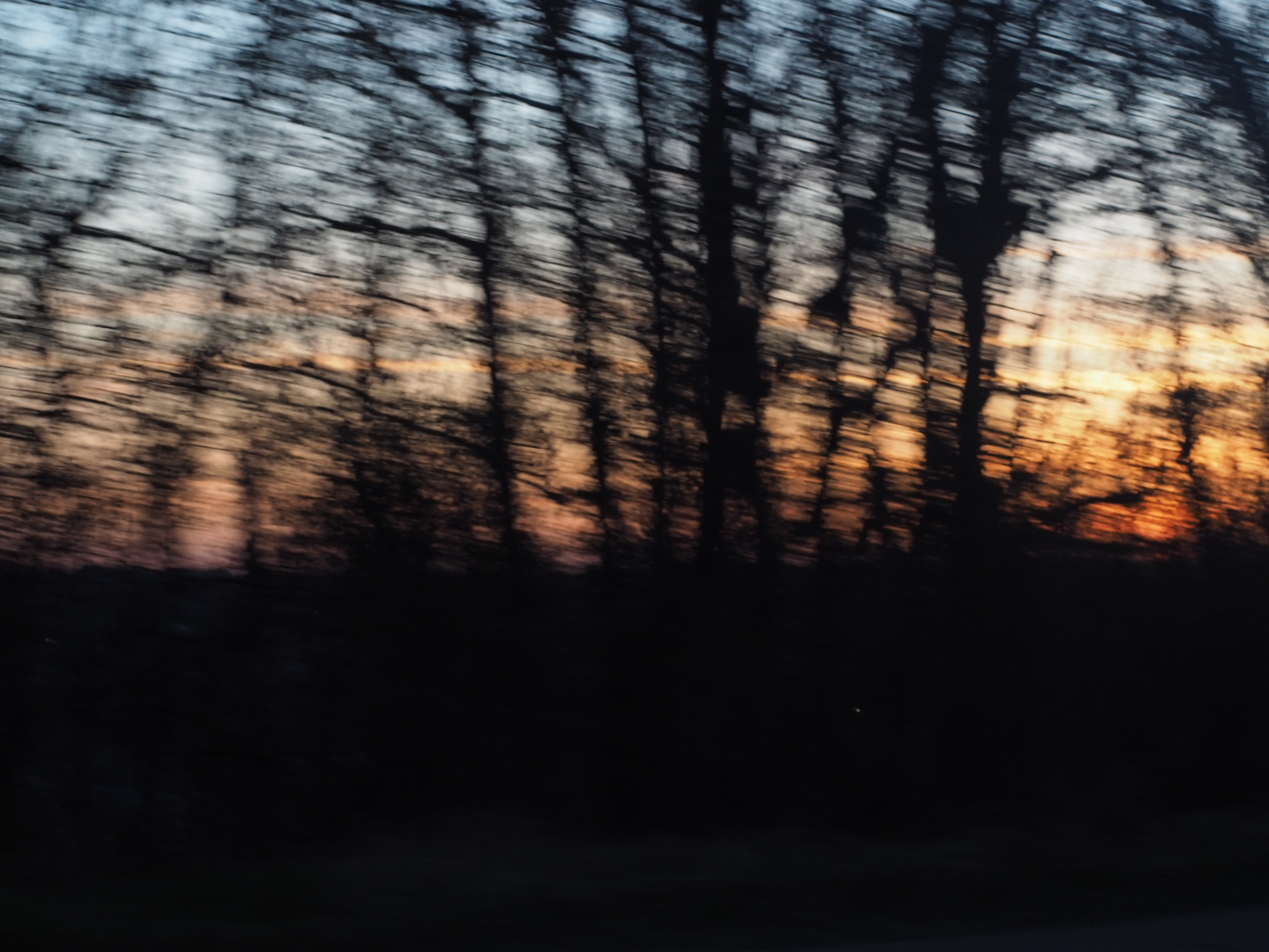 motion-blurred trees and distant city lights in edmonton at dusk