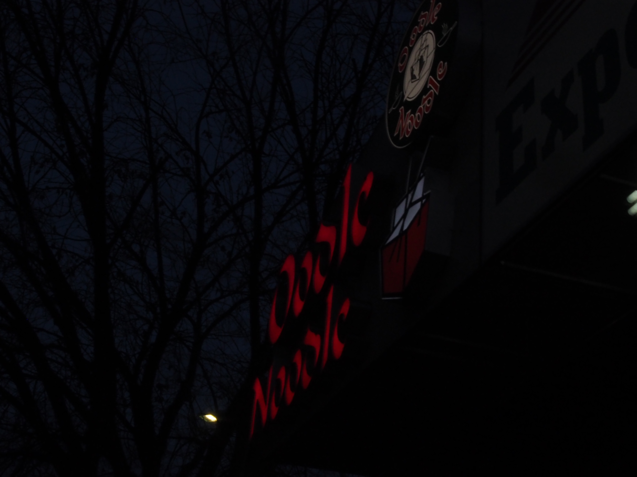 partial red illuminated lettering behind bare branches on a dark edmonton facade