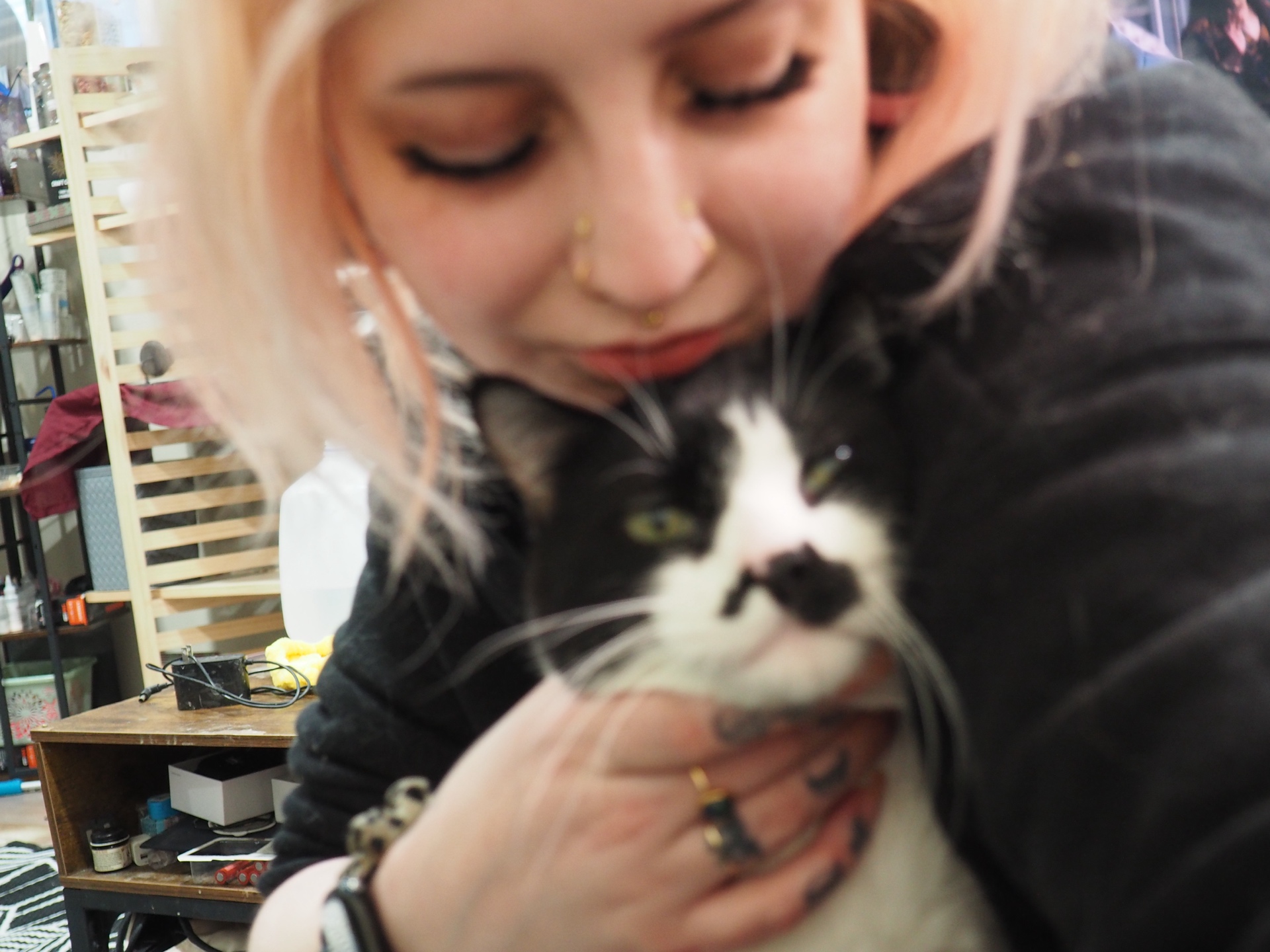 person holding a black-and-white cat in a close indoor portrait