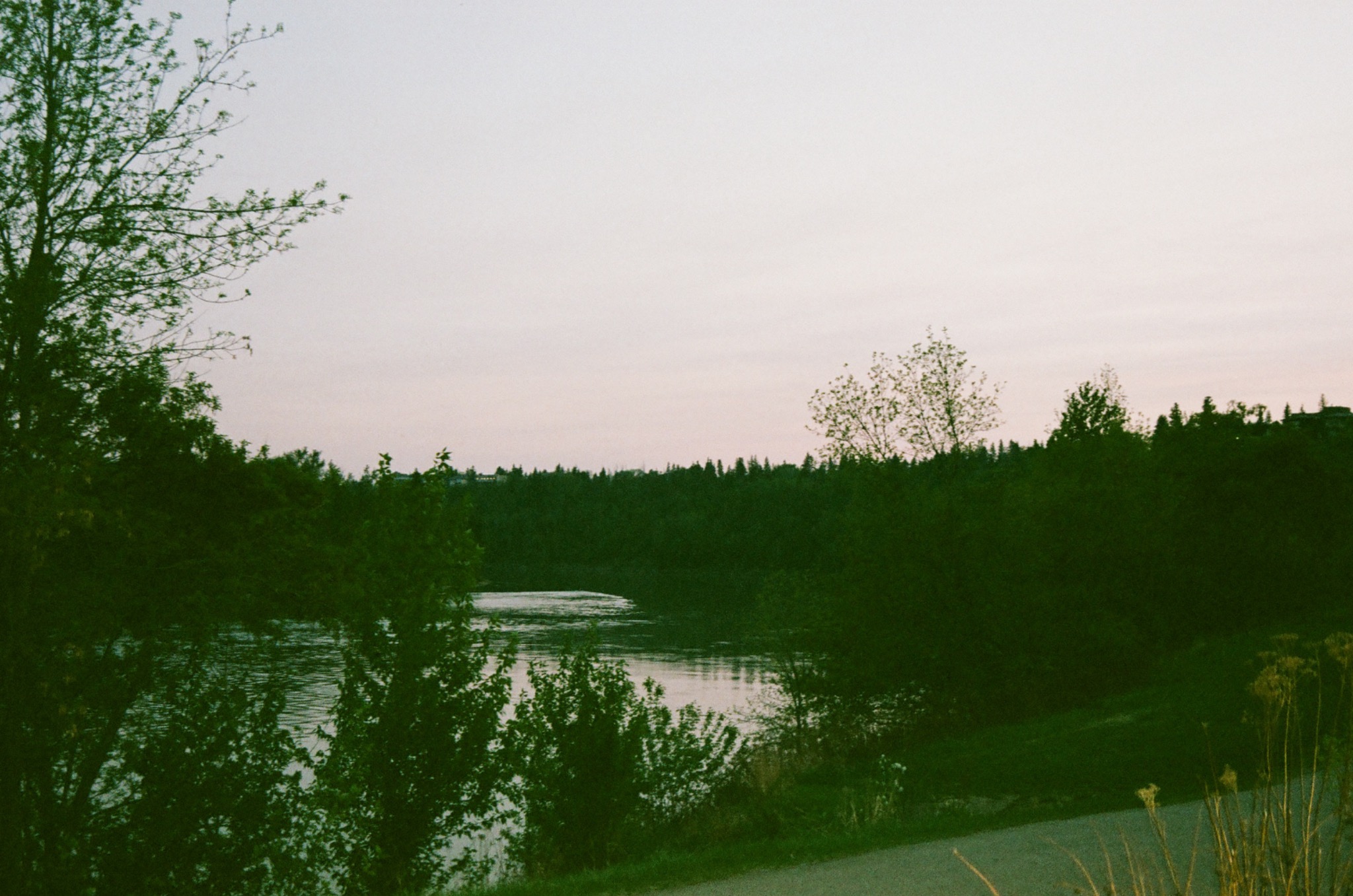 a river flows between dark green trees under a pale sky with a road.