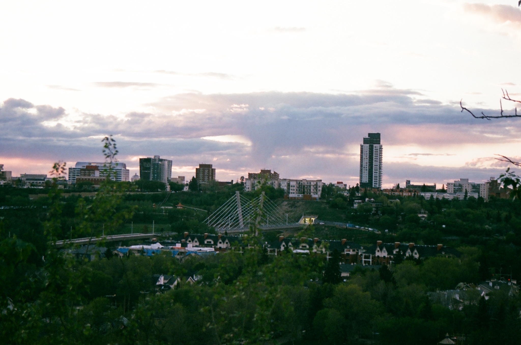 panoramic view of a city at dusk with a suspension bridge, tall buildings, and dark trees.
