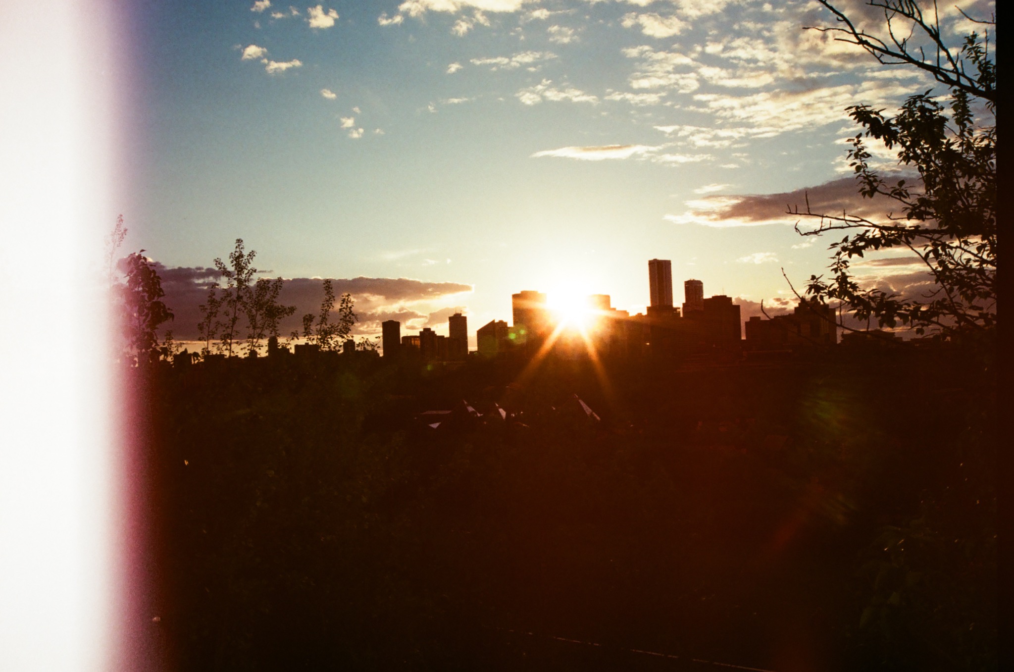 silhouette of a city skyline at sunset with bright sun flare and dark trees in foreground, light leak on left.