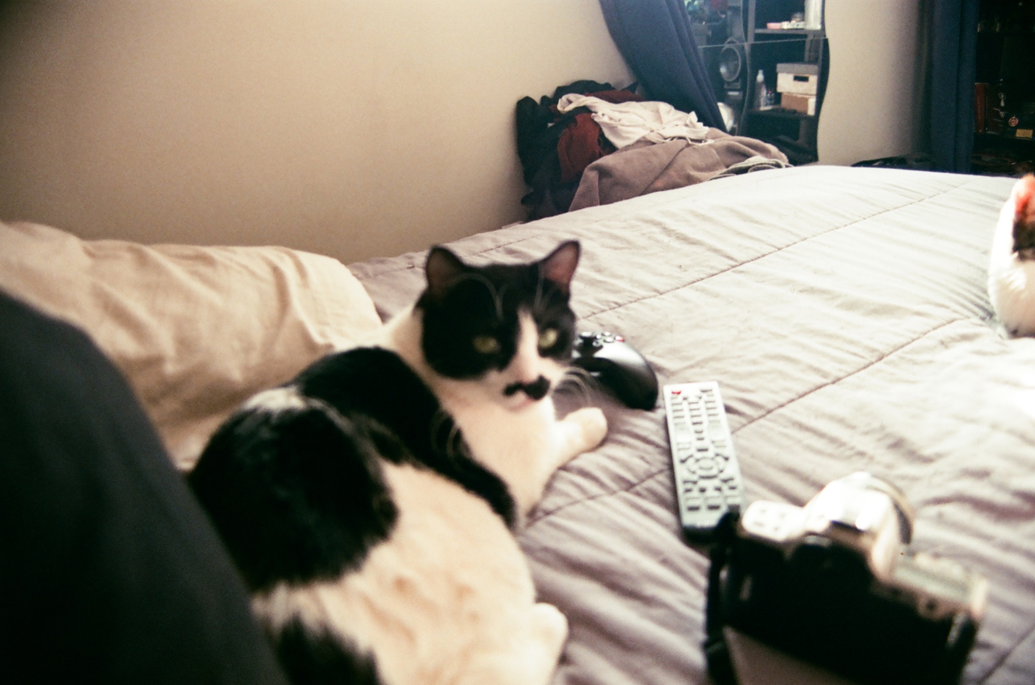 black and white cat with mustache on bed, game controller, remote, and camera nearby.